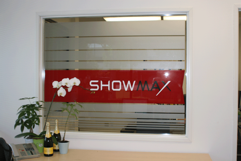 Frosted Glass Vinyl