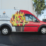 ford_transit_wrap16