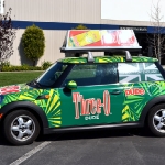 3_mini_vehiclewrap_geekwraps_iconography