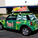 5_mini_vehiclewrap_geekwraps_iconography