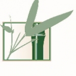 Custom logo design by Iconography Studios