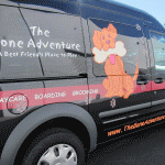 ford_transit_partial-wrap_12
