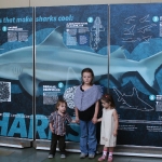 Large Format Digital Graphics