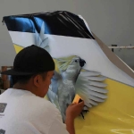 Airplane Wrap