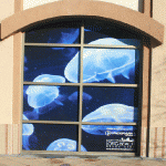 window_wrap_iconography094-2