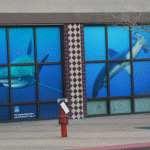 window_wrap_iconography124-2gif