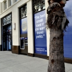 4_usbank_santamonica_windowgraphics_iconography_0