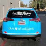 Blue Shield RAV4 3