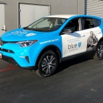 Blue Shield RAV4 6