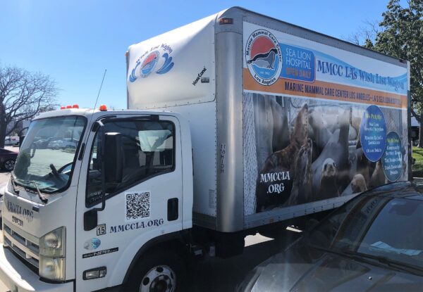 Marine Mammal Box Truck 4