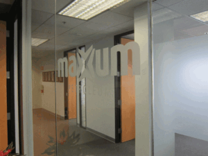 Etched Glass Vinyl
